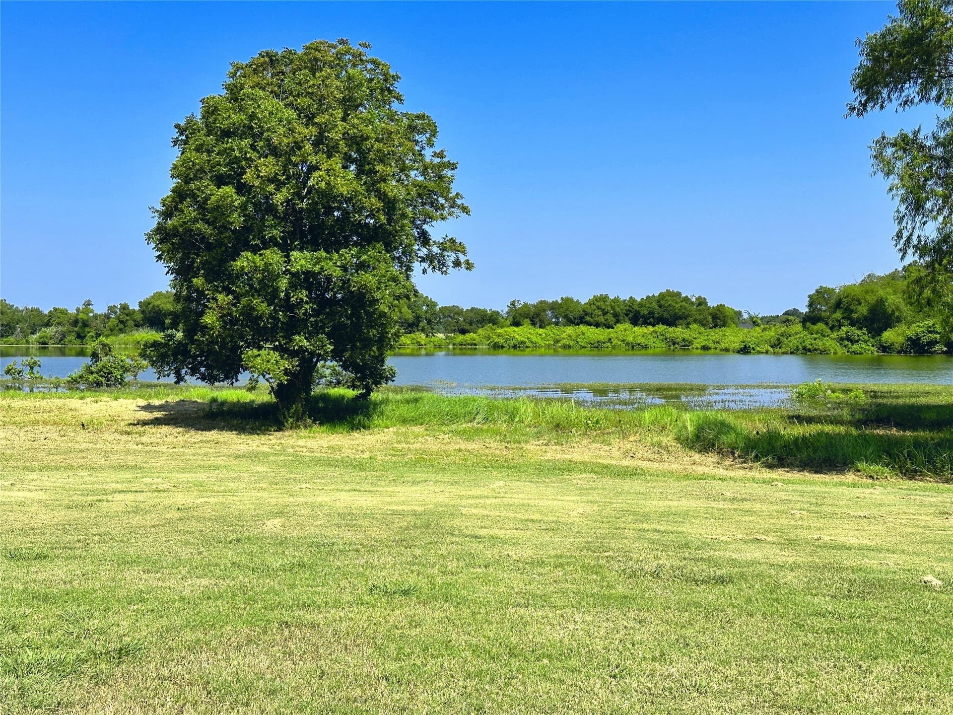 0.16 acres in Navarro County gallery image 4