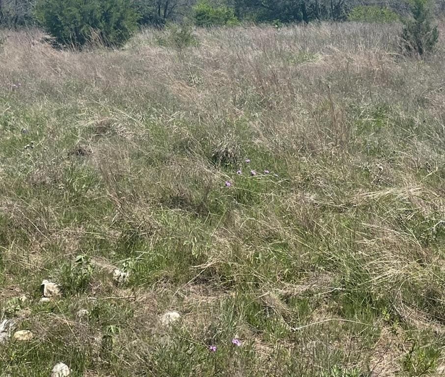 60 acres in Hunt County