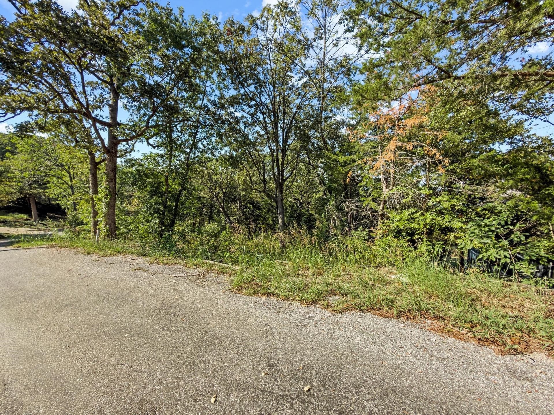 0.29 acres in Grayson County - photo 26