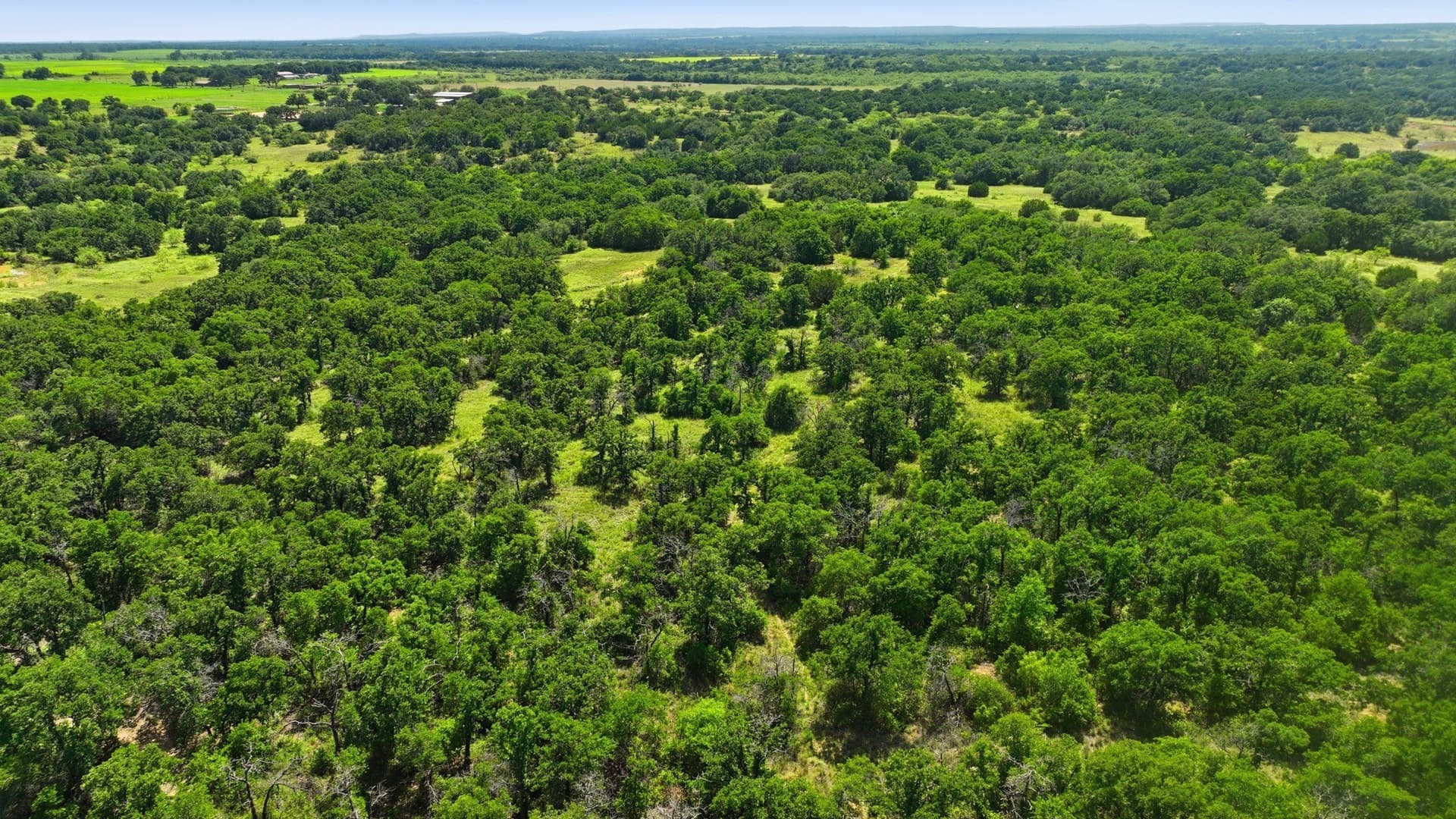 6.82 acres in Eastland County - photo 8