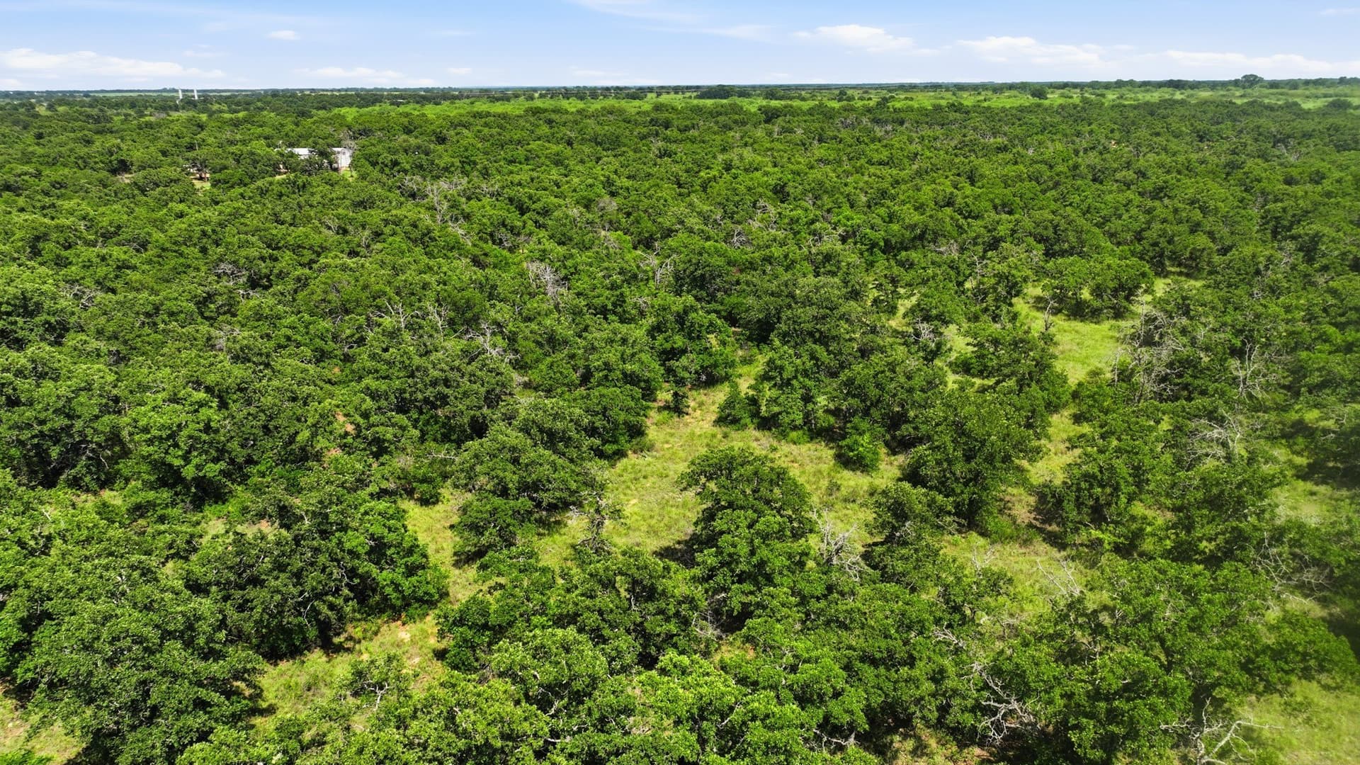 6.82 acres in Eastland County - photo 9