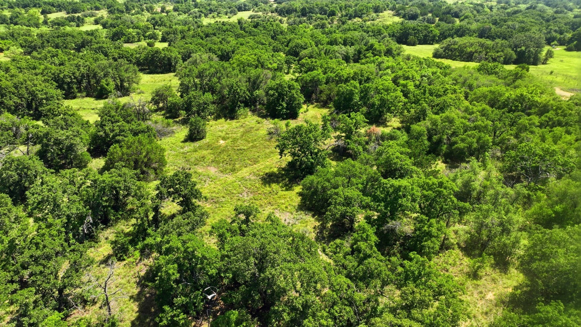 6.82 acres in Eastland County gallery image 2