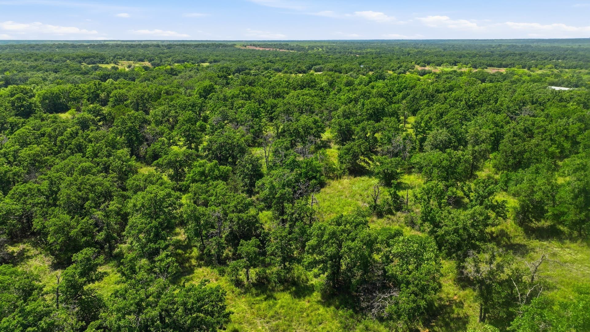 6.82 acres in Eastland County gallery image 4