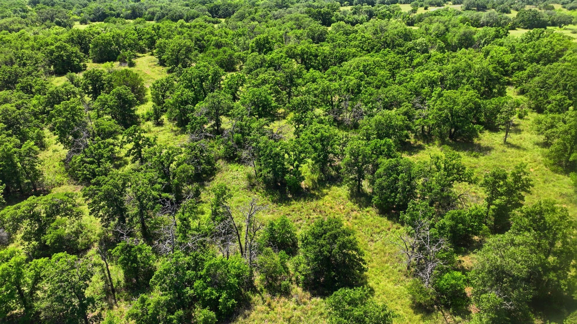 6.82 acres in Eastland County gallery image 3