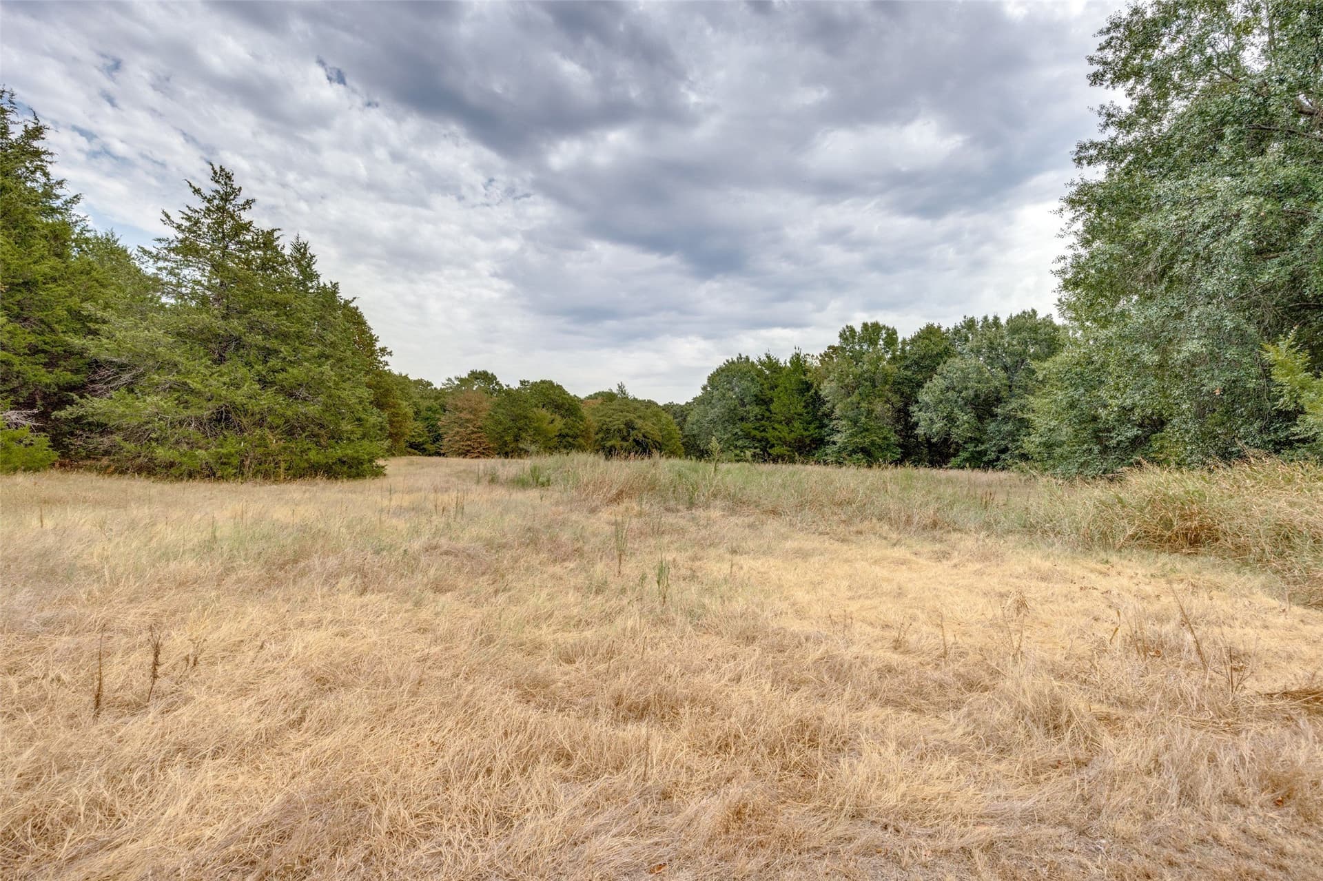 13.73 acres in Fannin County - photo 26