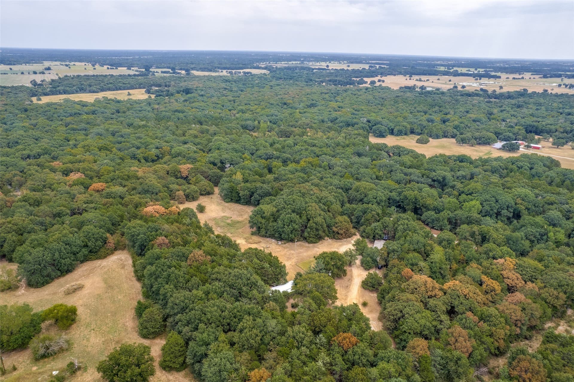 13.73 acres in Fannin County - photo 28