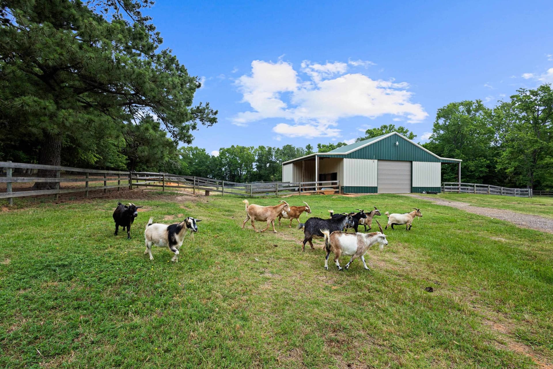 38.04 acres in Van Zandt County - photo 34