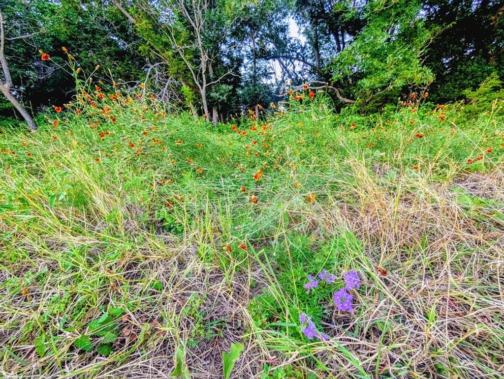 33.3 acres in Gillespie County - photo 21