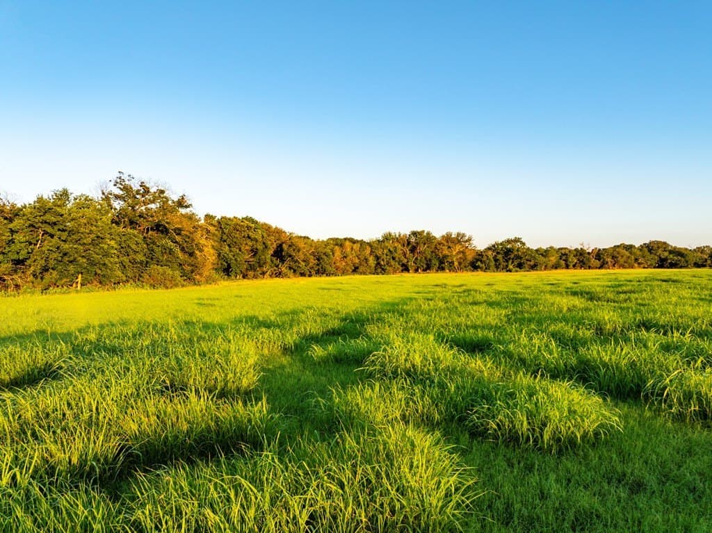 33.3 acres in Gillespie County - photo 12