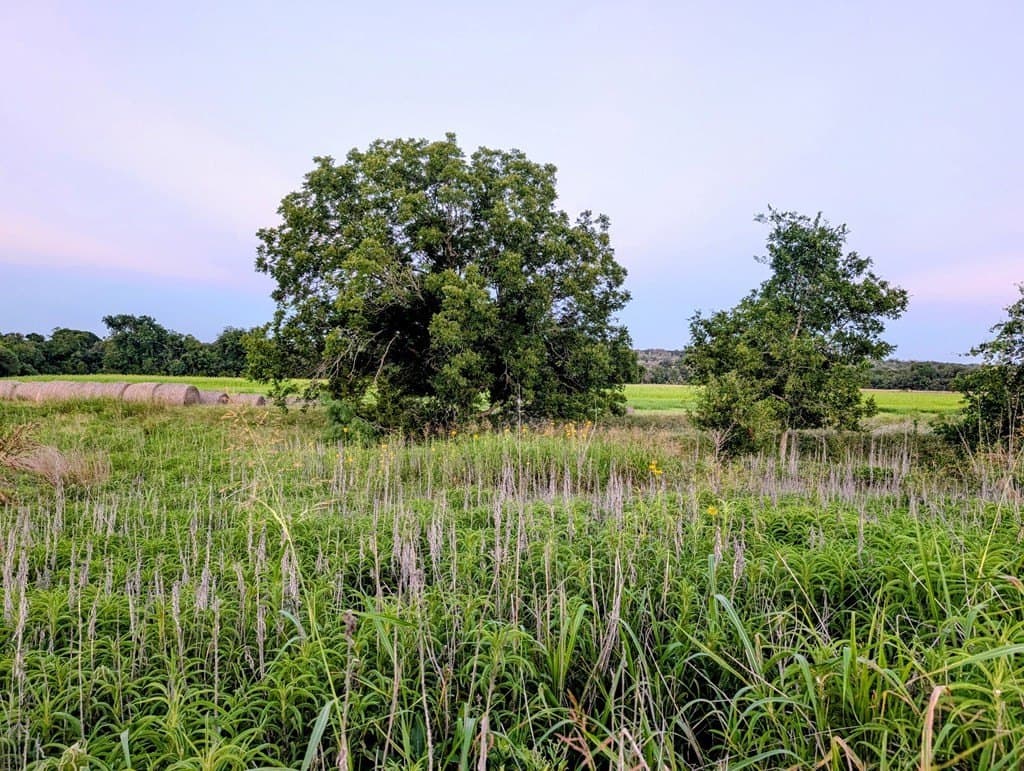 33.3 acres in Gillespie County - photo 31