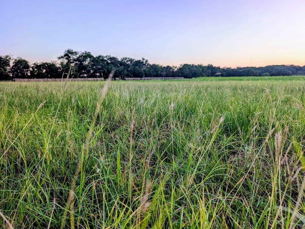 33.3 acres in Gillespie County - photo 23