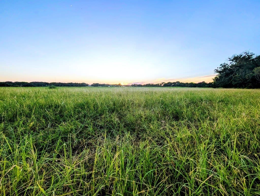 33.3 acres in Gillespie County - photo 22