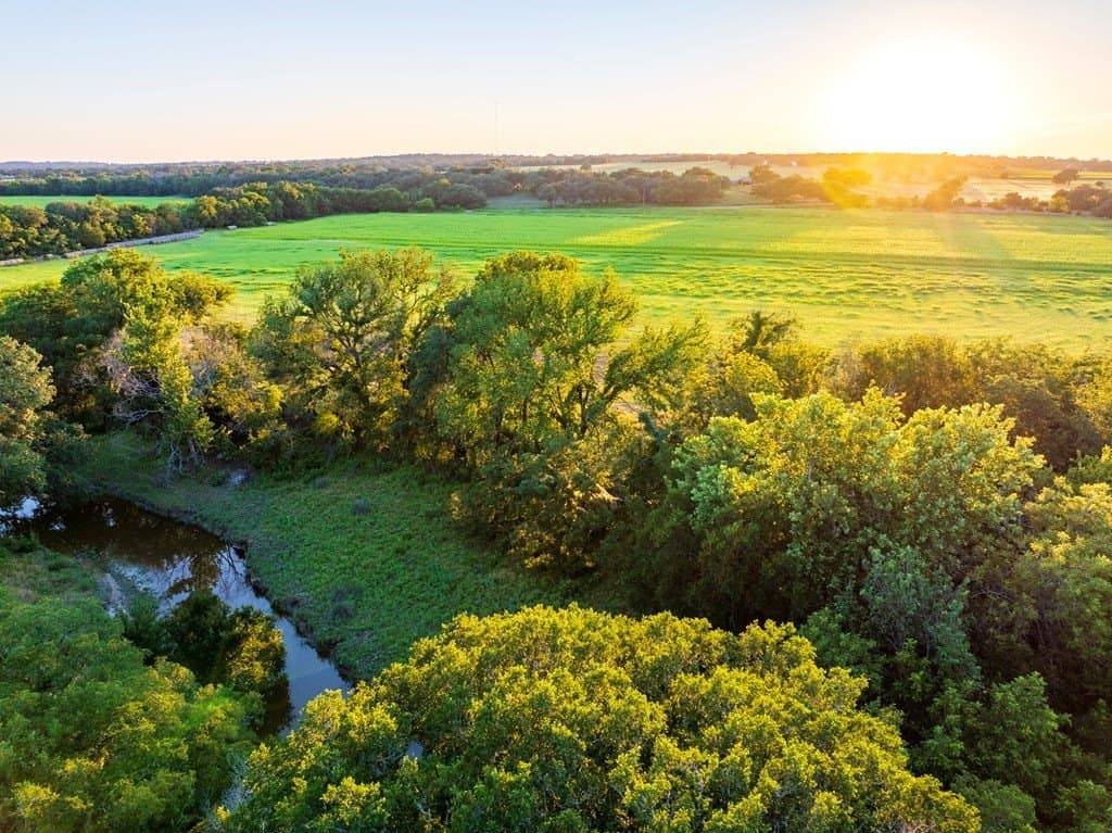 33.3 acres in Gillespie County - photo 6