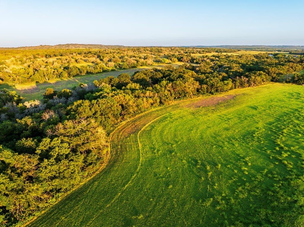 33.3 acres in Gillespie County - photo 14