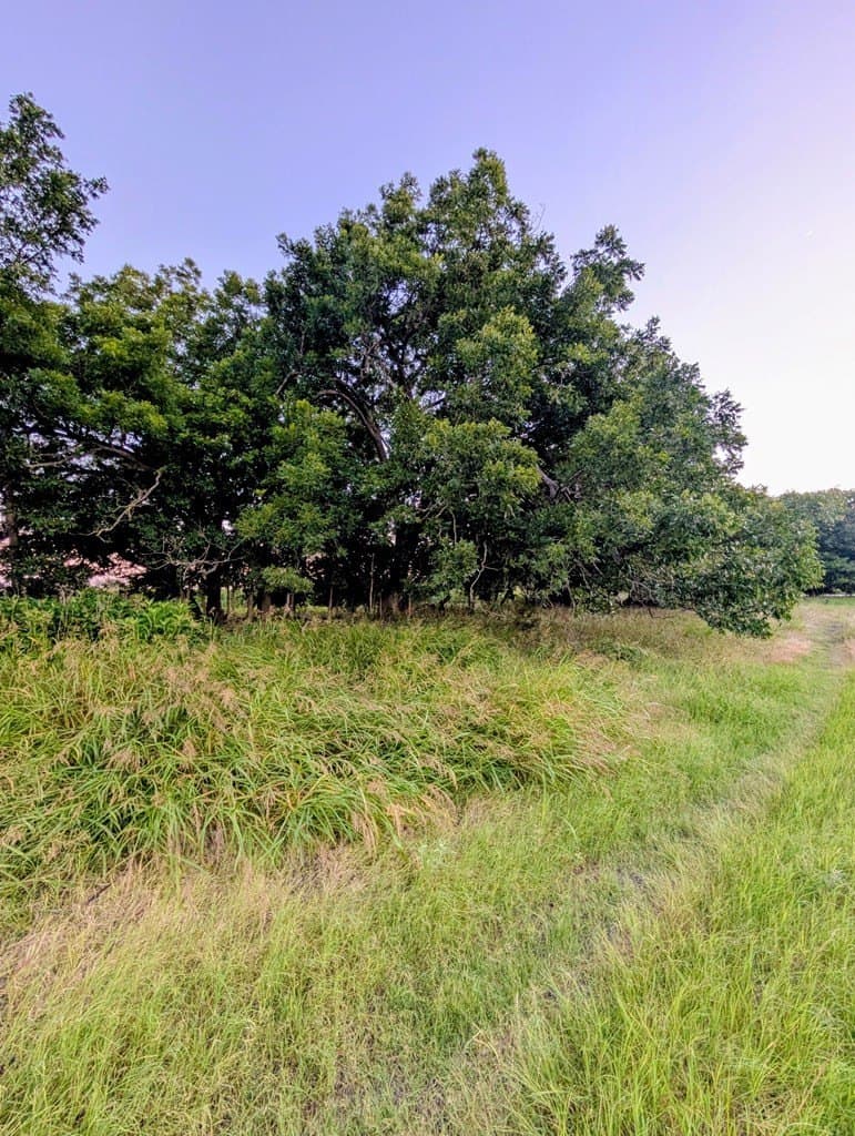 33.3 acres in Gillespie County - photo 29