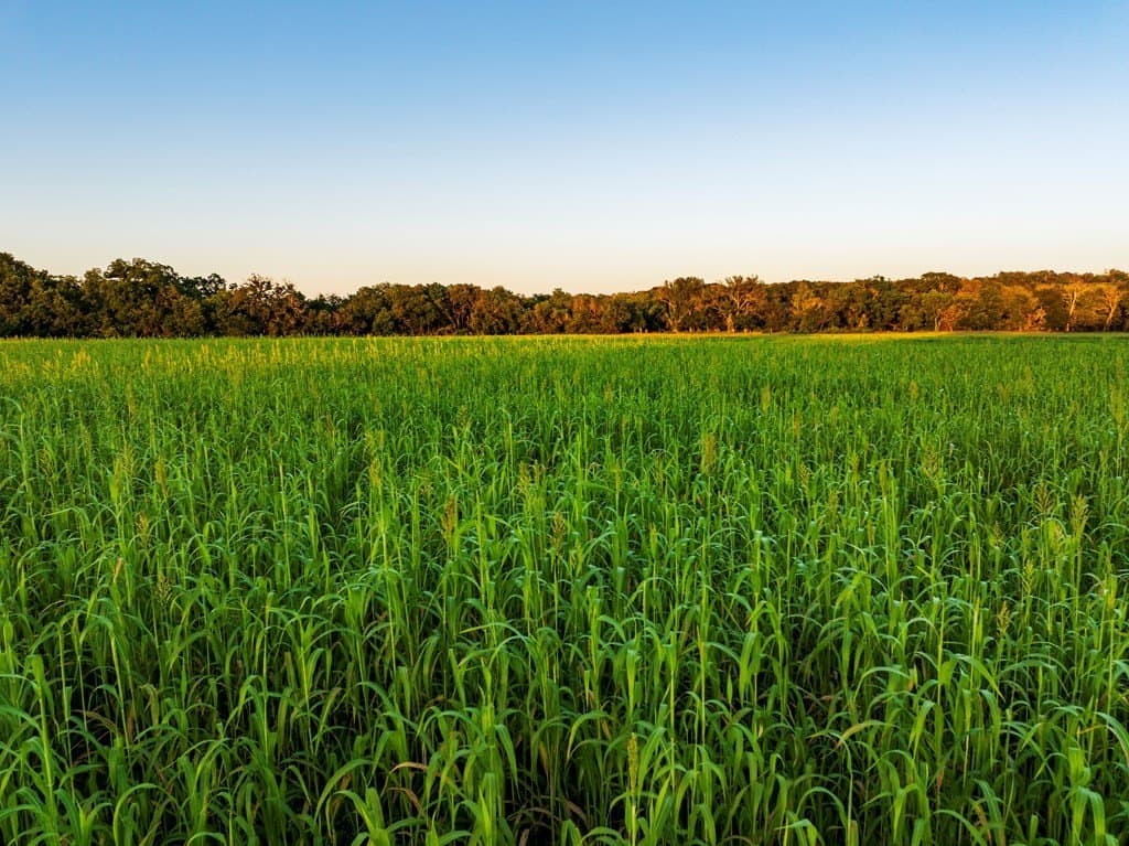 33.3 acres in Gillespie County - photo 16