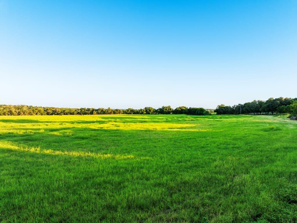 33.3 acres in Gillespie County - photo 8
