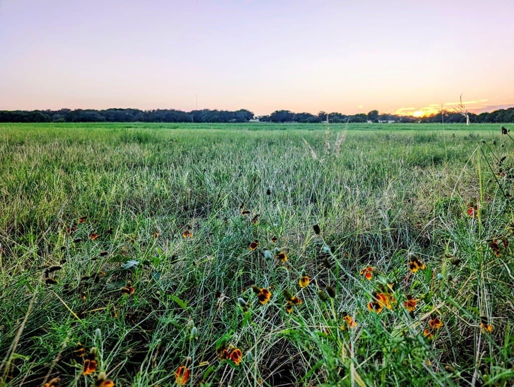 33.3 acres in Gillespie County - photo 20