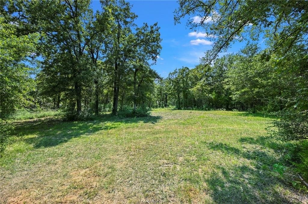 9.72 acres in Brazos County - photo 4