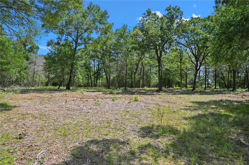 9.72 acres in Brazos County - photo 6