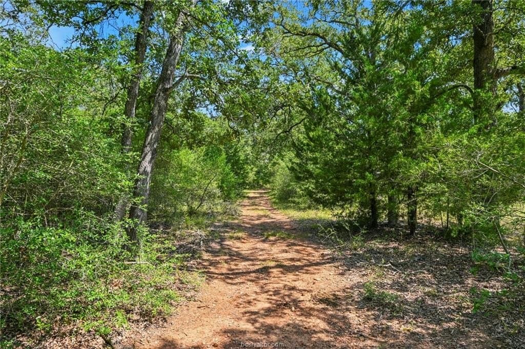 9.72 acres in Brazos County - photo 9