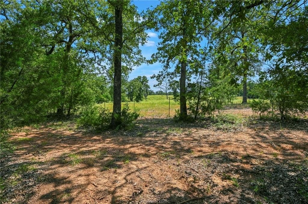 9.72 acres in Brazos County - photo 7