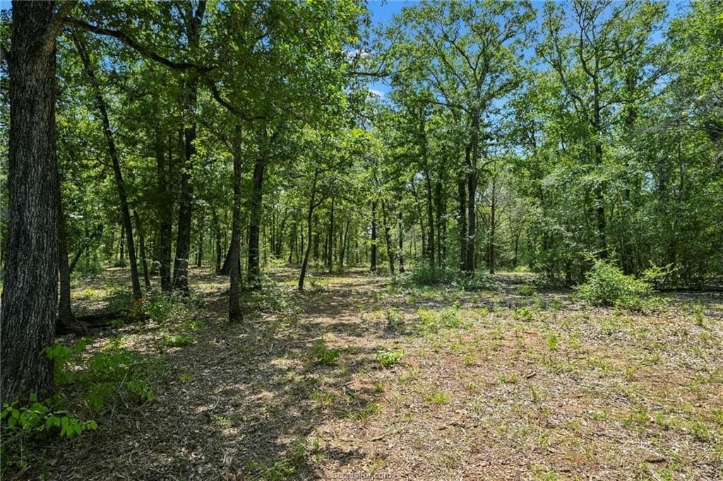 9.72 acres in Brazos County - photo 5