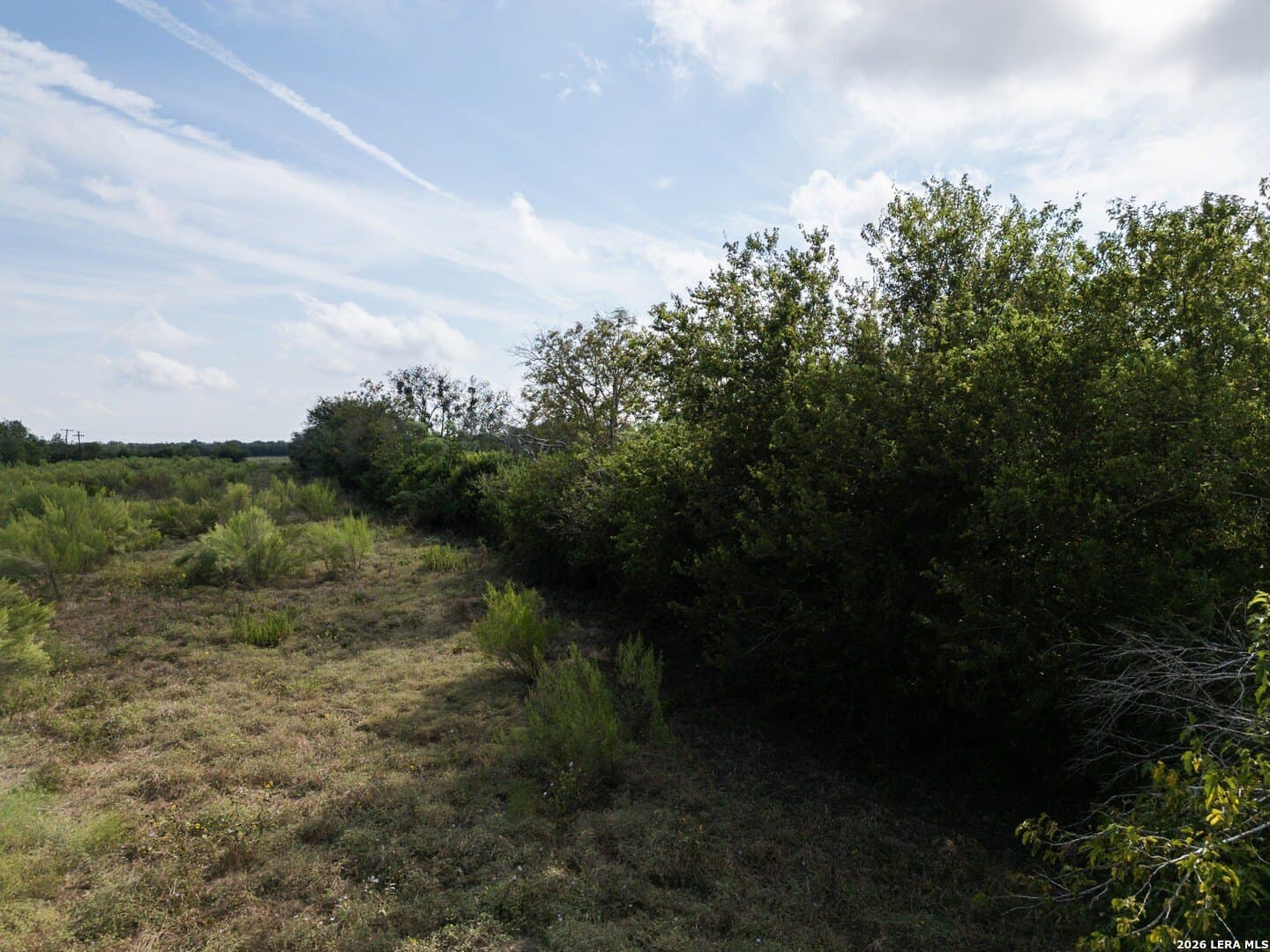 9 acres in Guadalupe County - photo 26