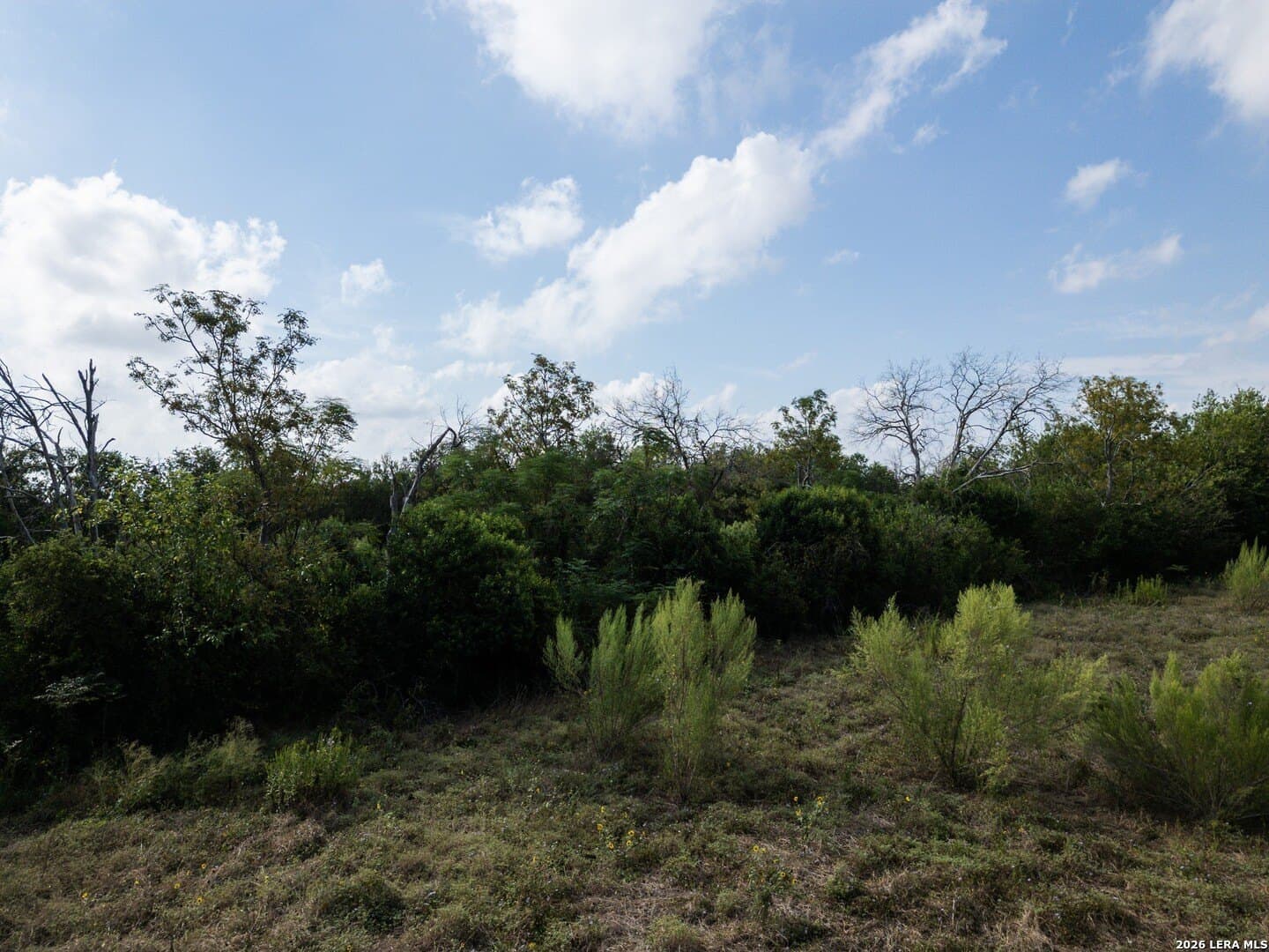9 acres in Guadalupe County - photo 27