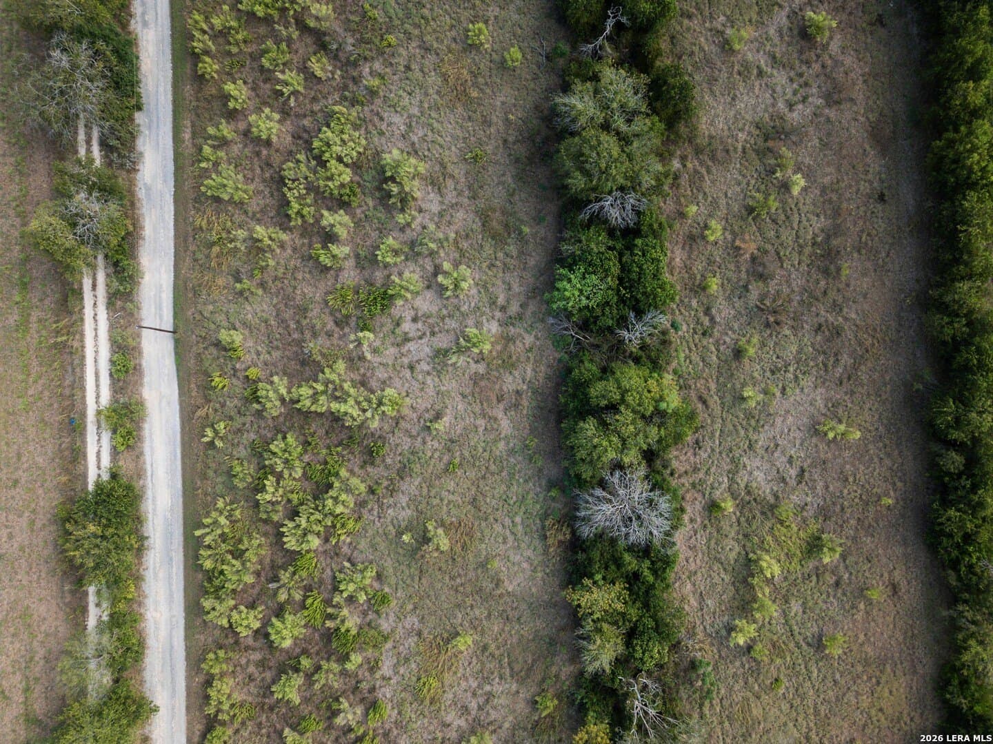 9 acres in Guadalupe County - photo 22