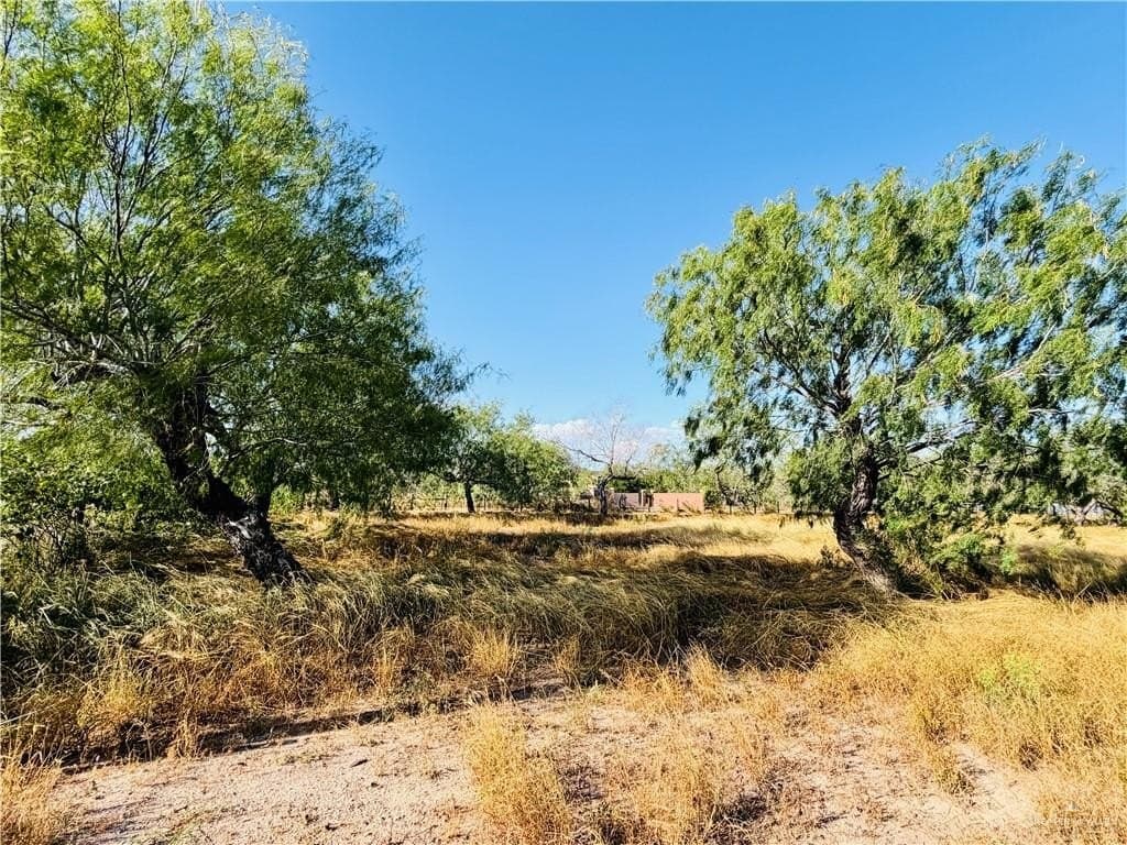 1 acres in Hidalgo County - photo 3