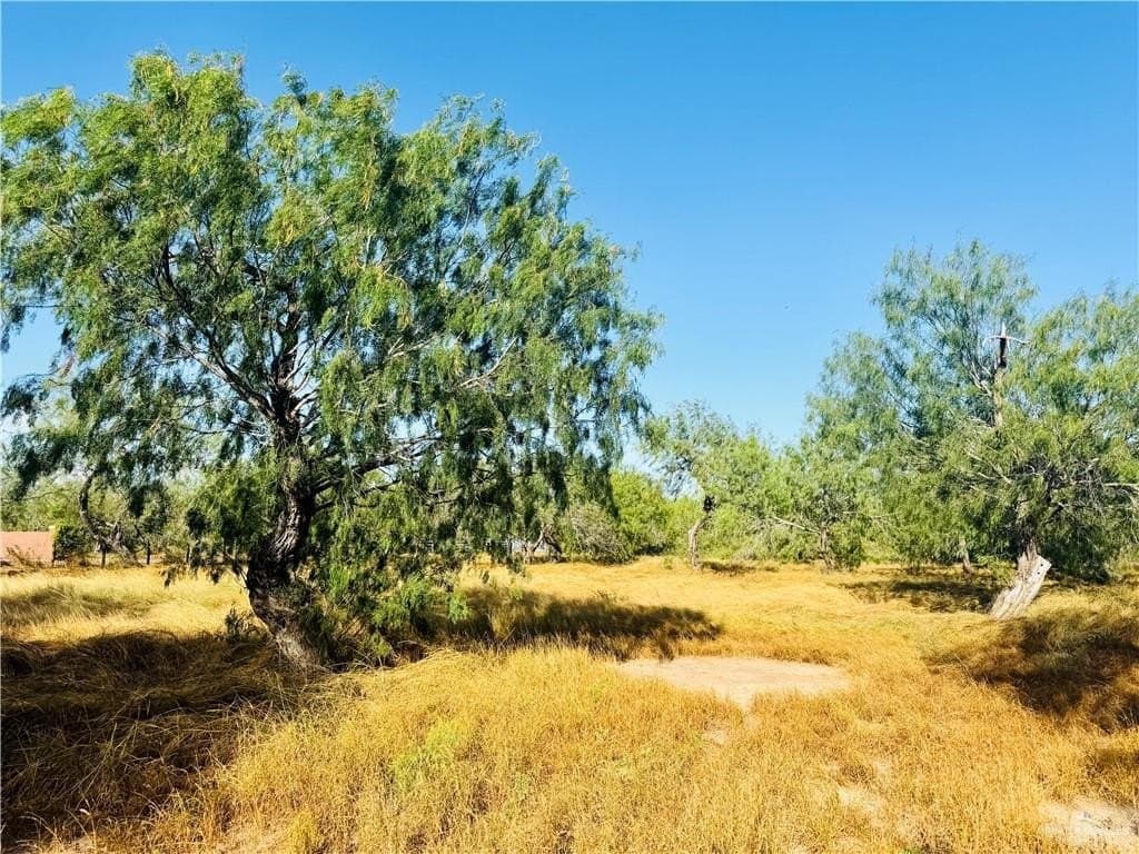 1 acres in Hidalgo County - photo 5