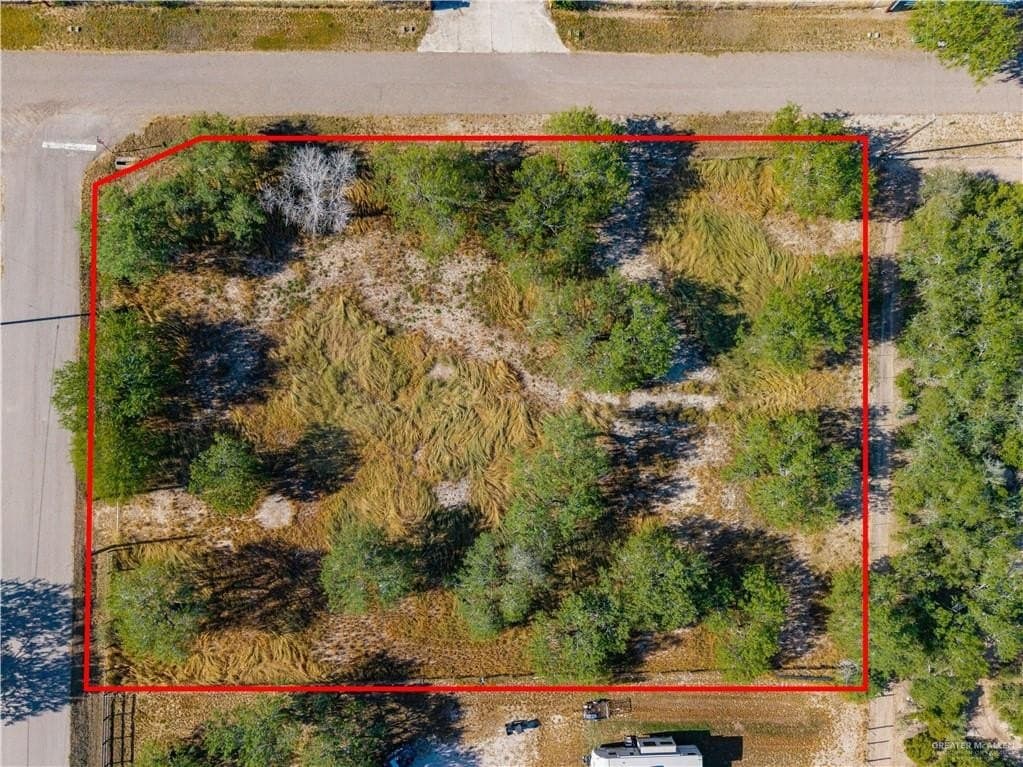 1 acres in Hidalgo County - photo 4
