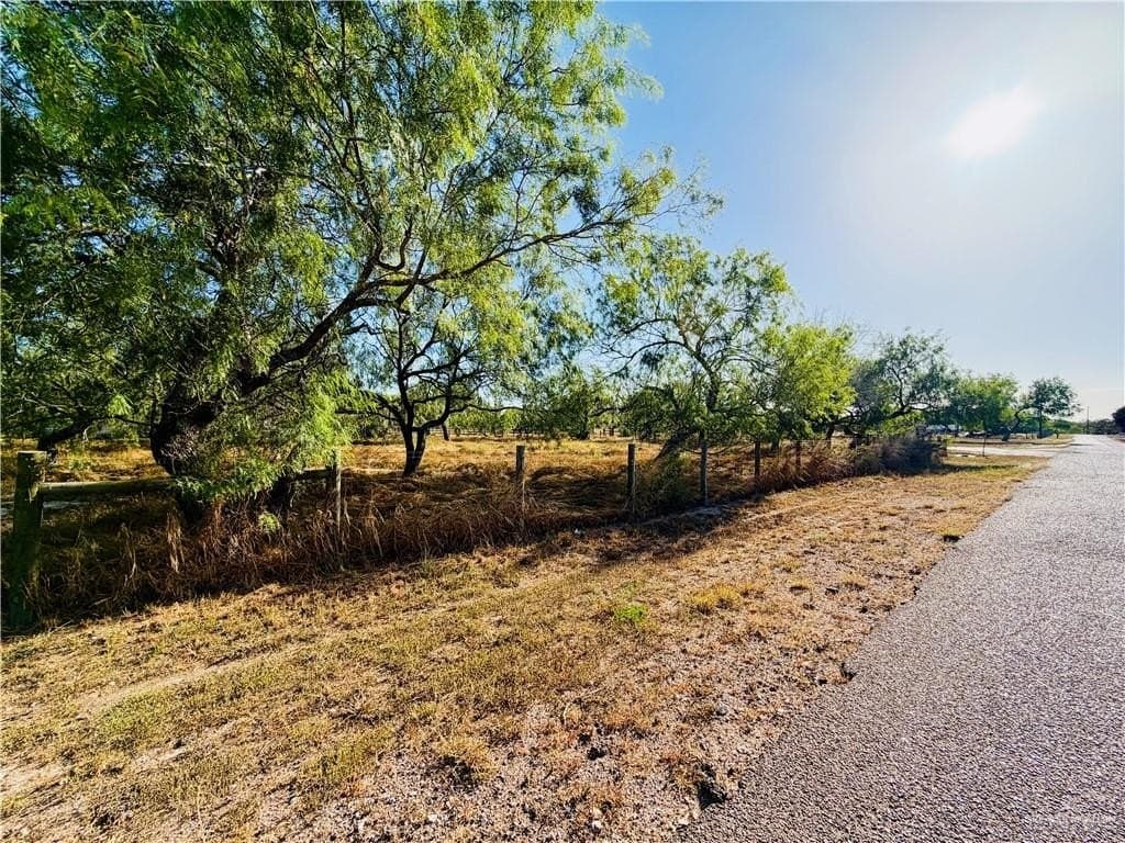 1 acres in Hidalgo County - photo 6