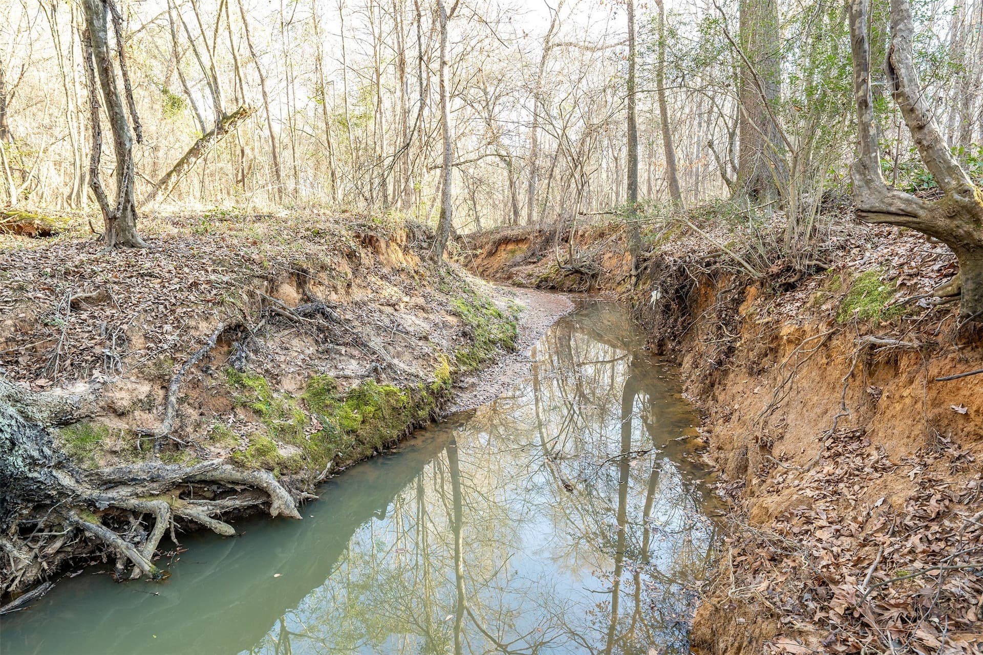 51.04 acres in Harrison County