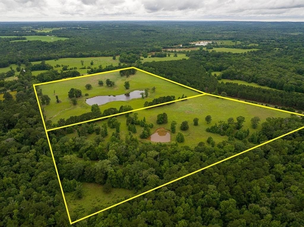 20 acres in Anderson County gallery image 2