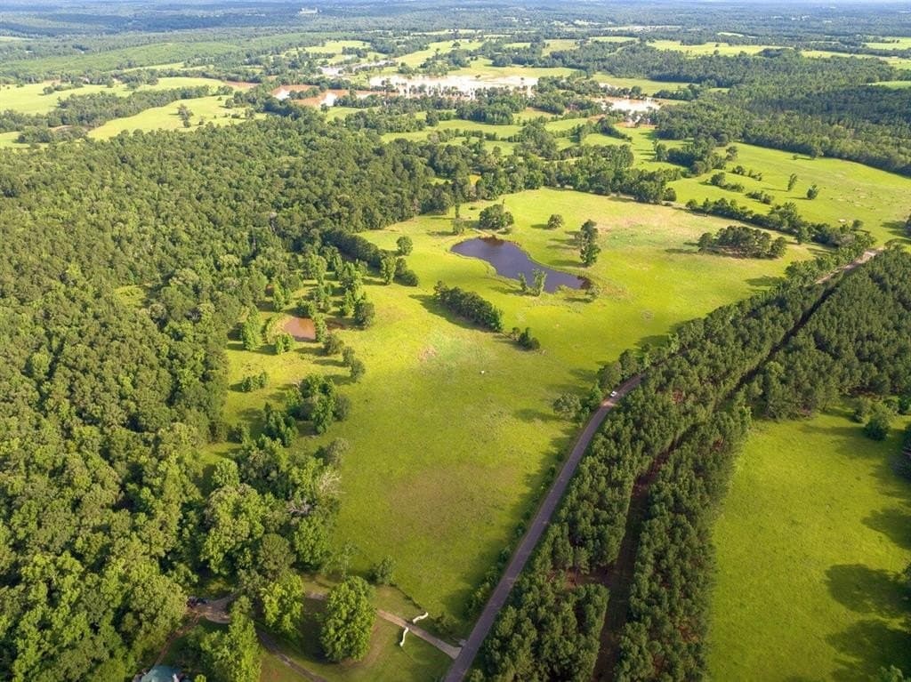 20 acres in Anderson County gallery image 4