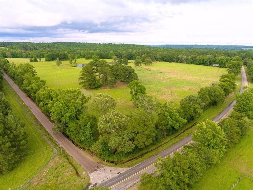 20 acres in Anderson County gallery image 3