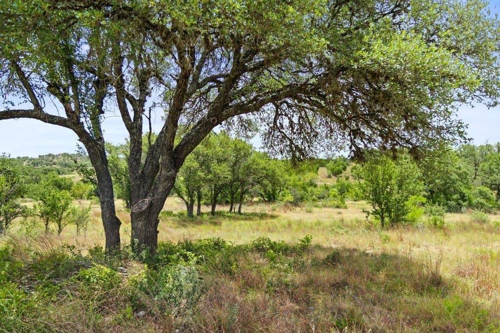 5.88 acres in Blanco County - photo 31
