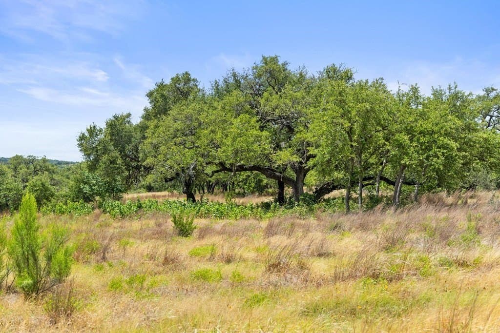 5.88 acres in Blanco County - photo 17