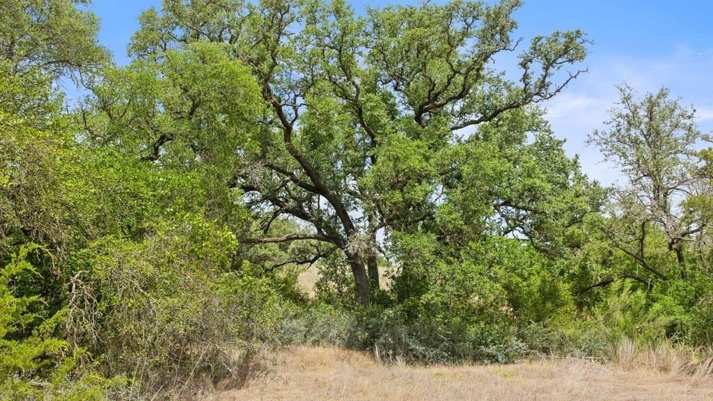 5.88 acres in Blanco County - photo 44