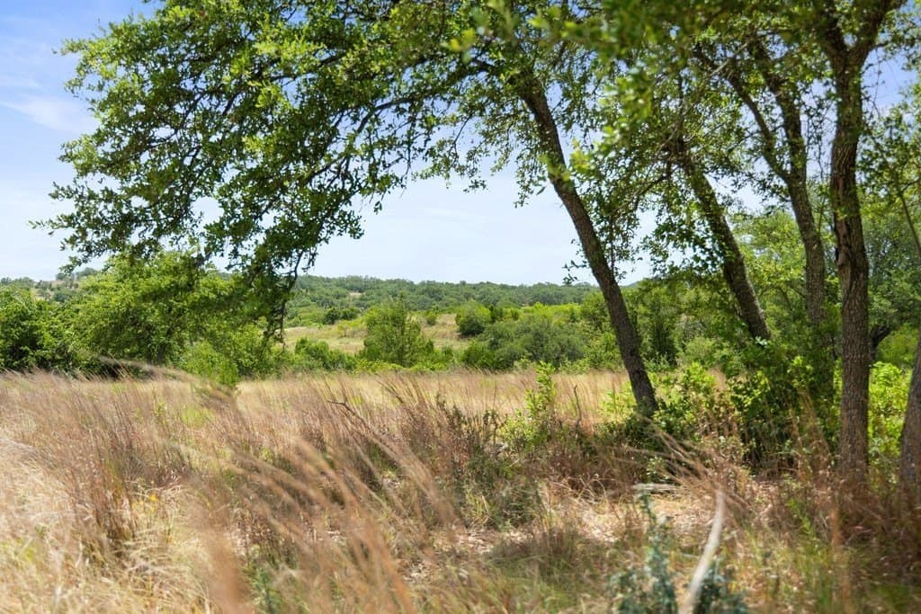 5.88 acres in Blanco County - photo 24