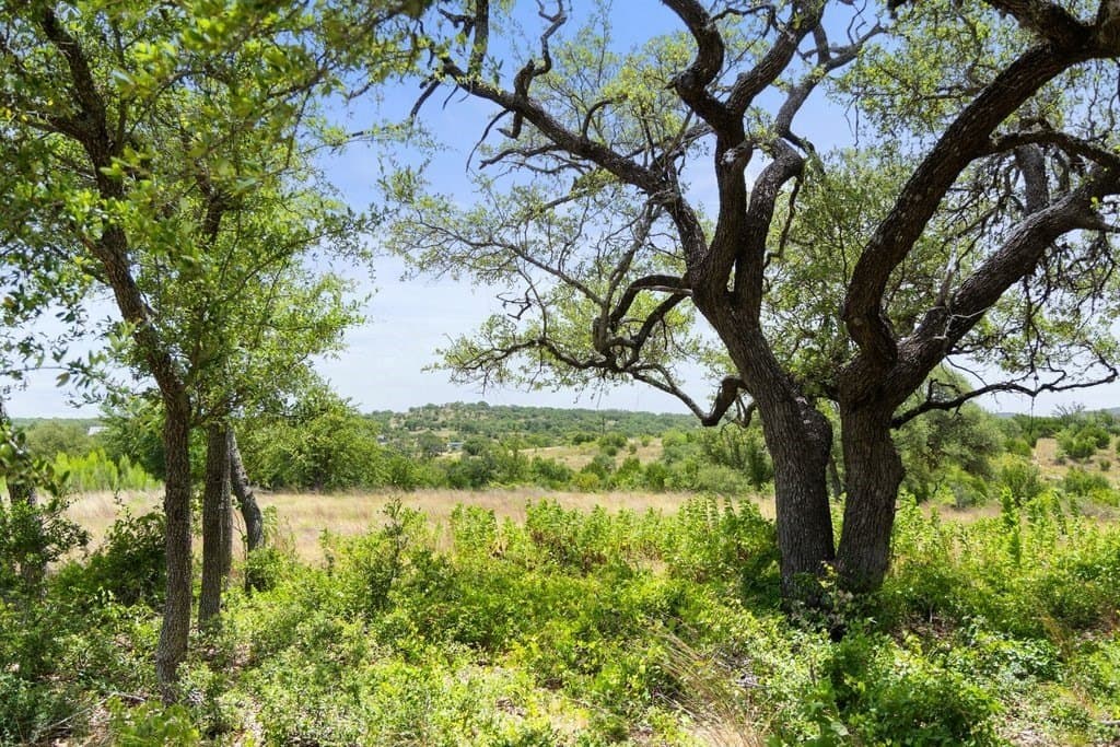 5.88 acres in Blanco County - photo 26