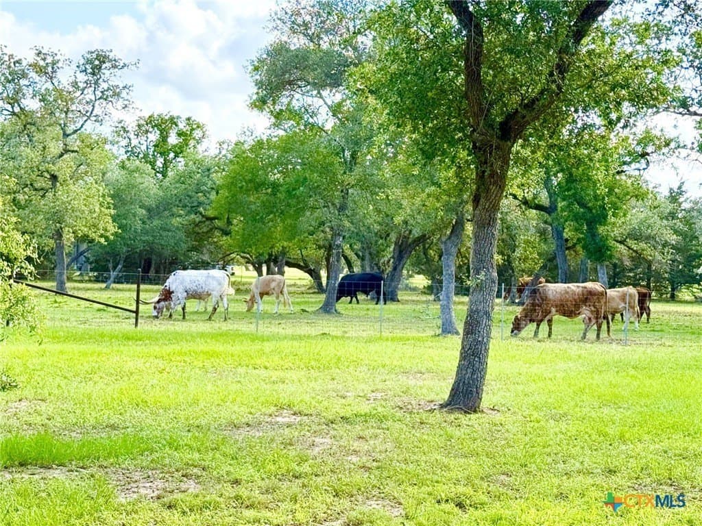 15 acres in Jackson County - photo 44