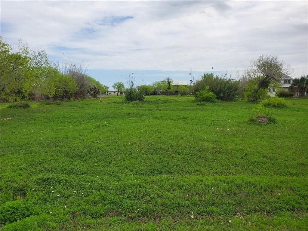 0.29 acres in Refugio County gallery image 2