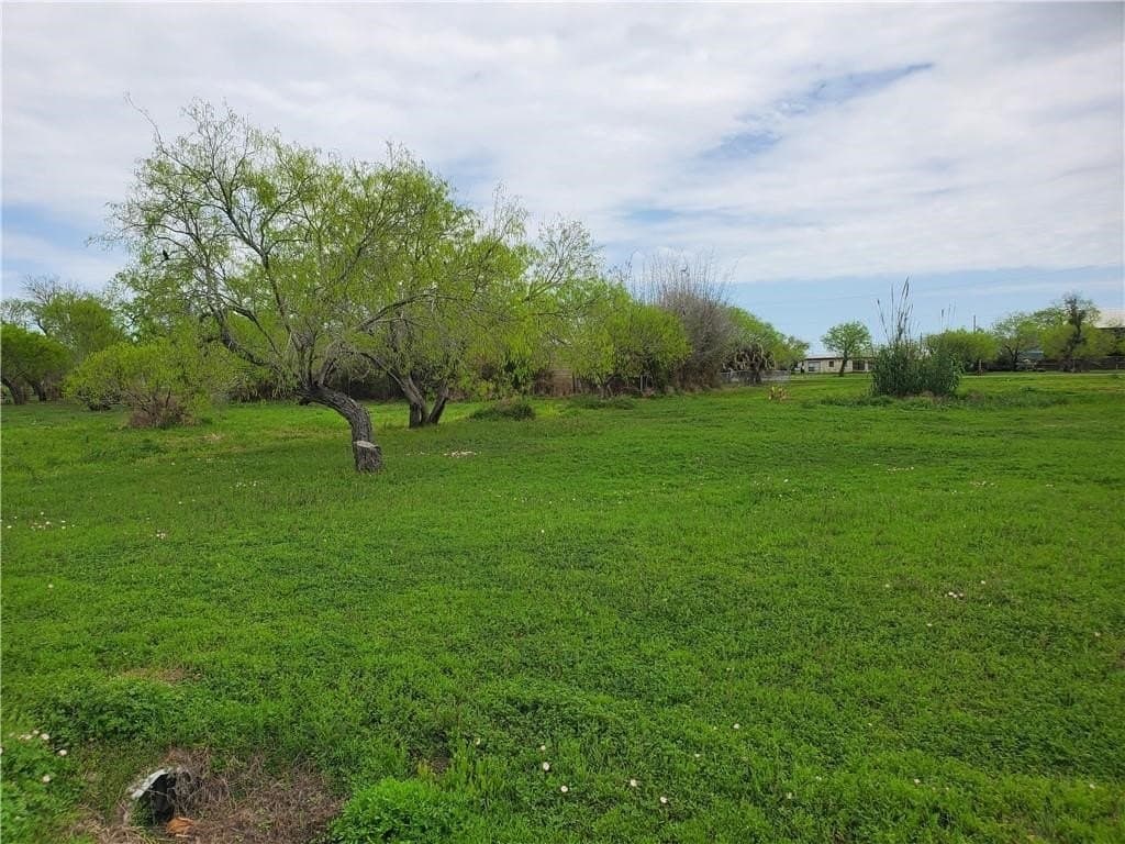 0.29 acres in Refugio County gallery image 4
