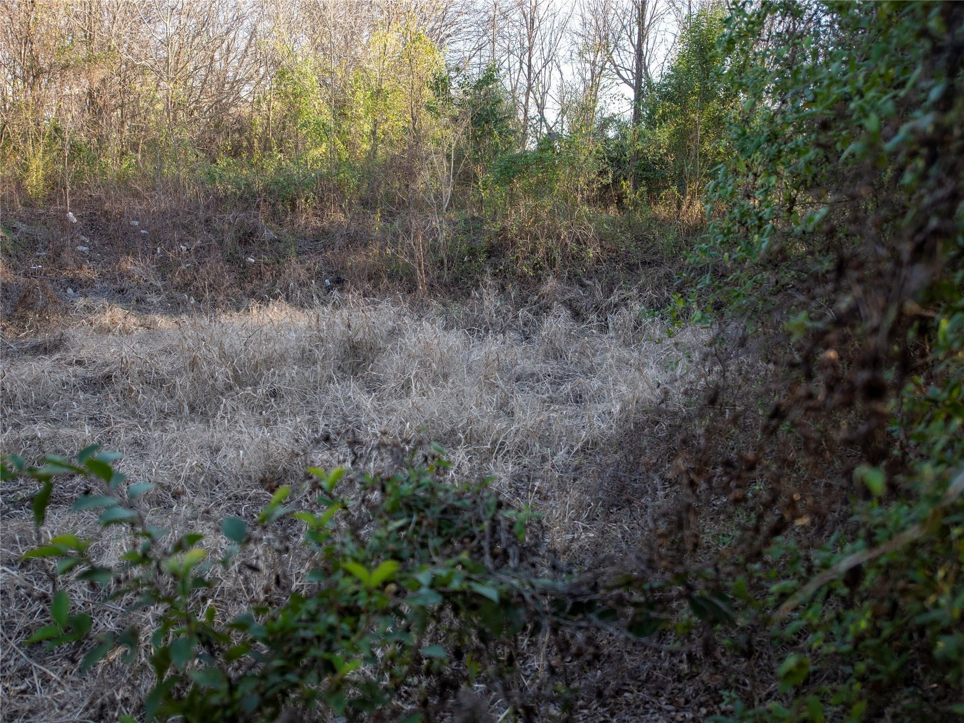 5.74 acres in Dallas County - photo 7