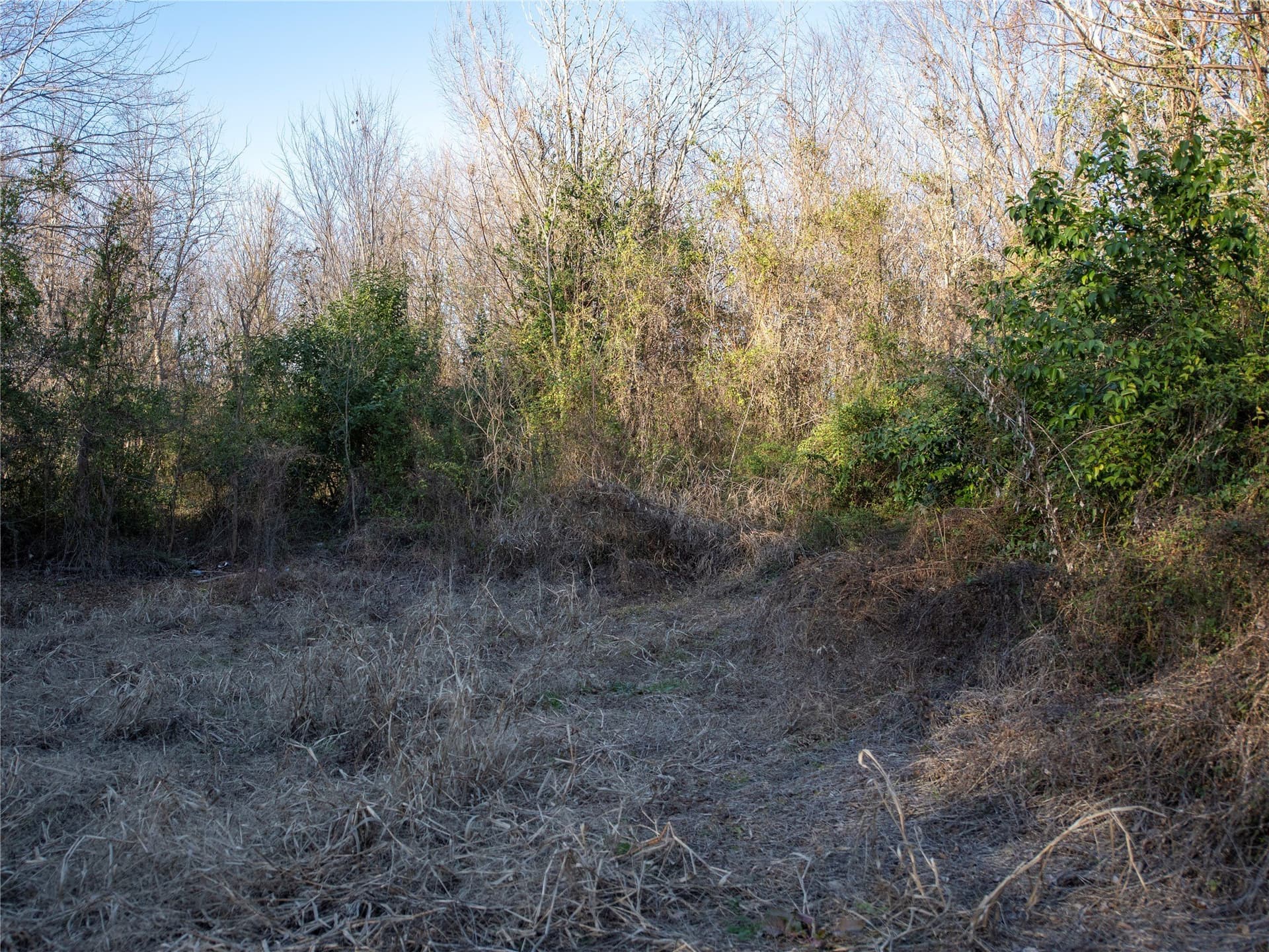5.74 acres in Dallas County - photo 8