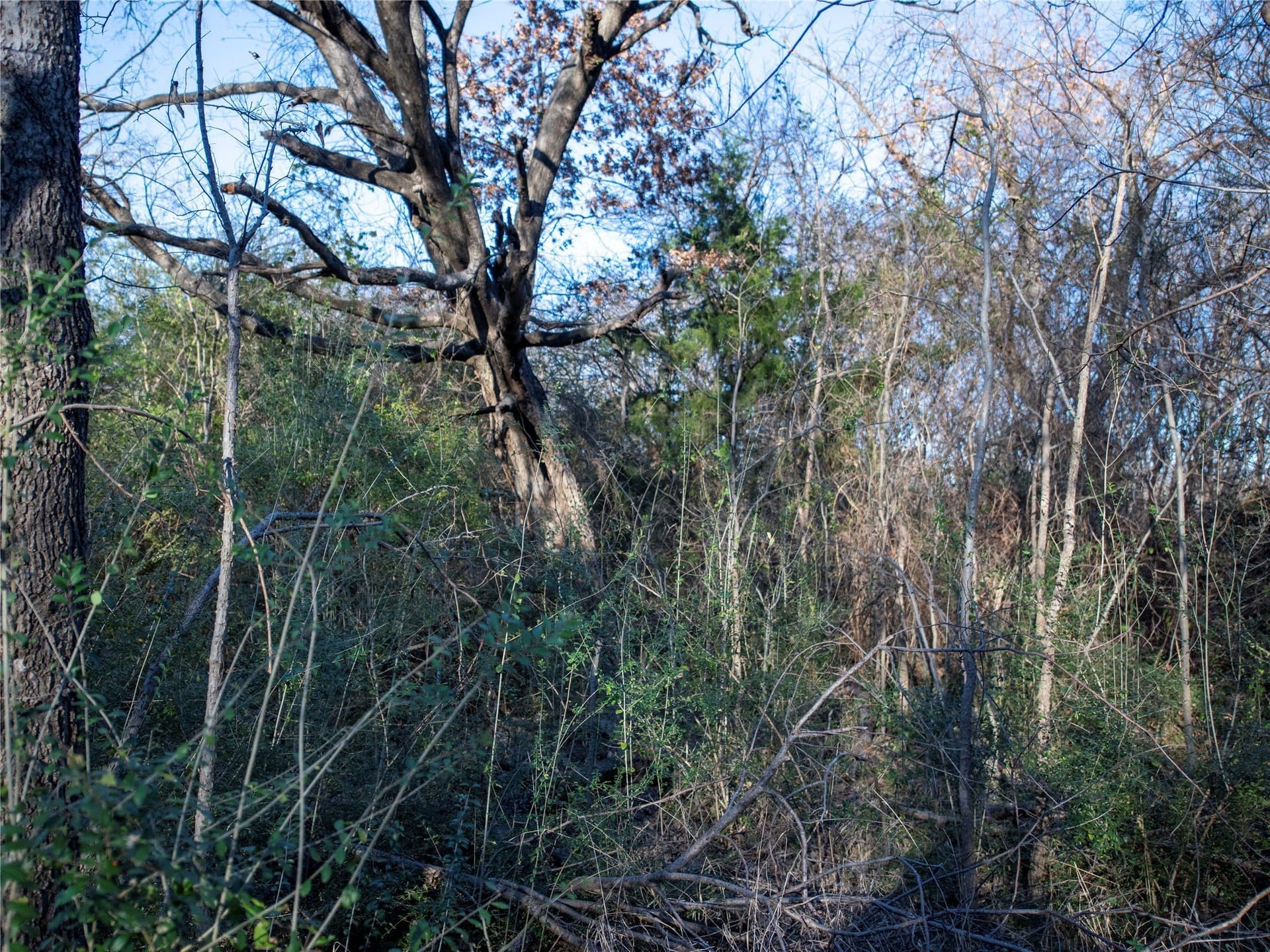 5.74 acres in Dallas County - photo 9