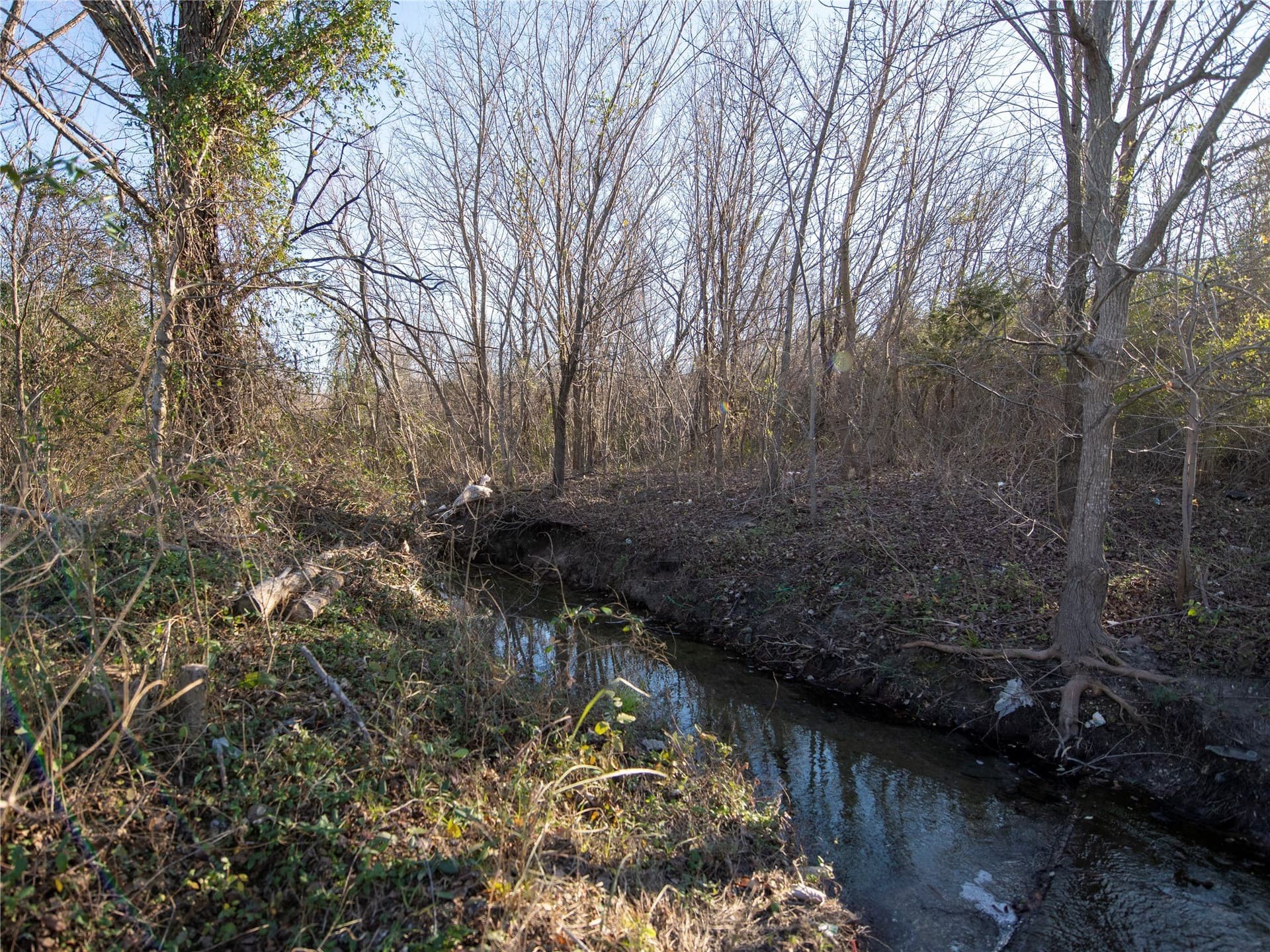 5.74 acres in Dallas County gallery image 4
